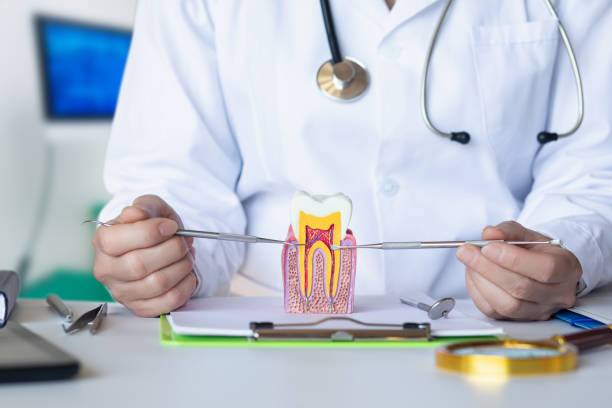Best Mobile Emergency Dentist in East Pasadena, CA